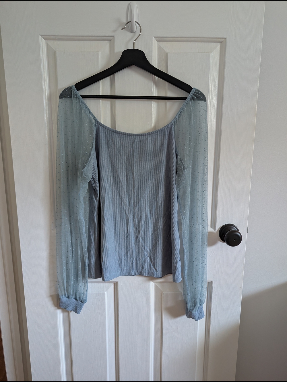 DoRose Women's Light Blue Top with Sheer Dotted Sleeves Size Large